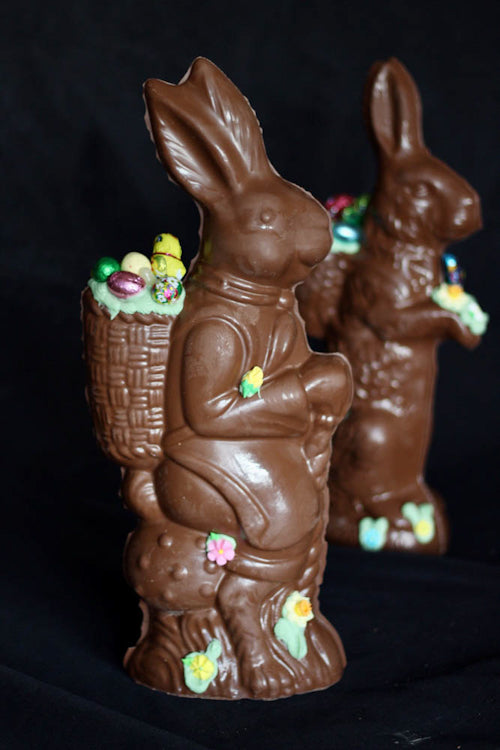 Chocolate Mushroom Rabbit