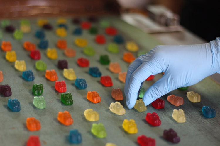 Chocolate Covered Gummi Bears