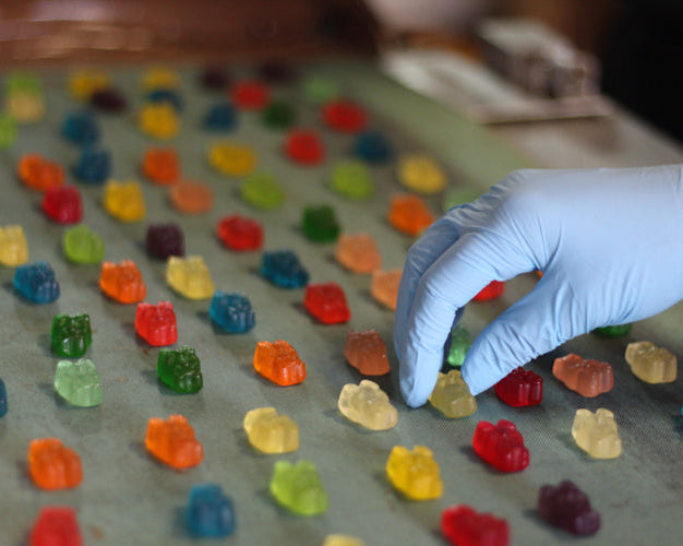 Chocolate Covered Gummi Bears