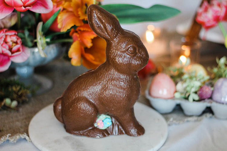 Fuzzy Chocolate Bunny