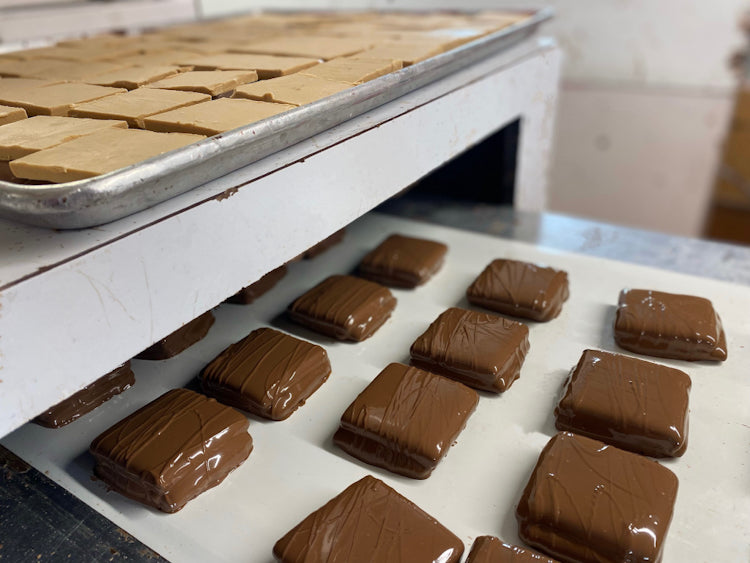Chocolate Covered Peanut Butter Grahams