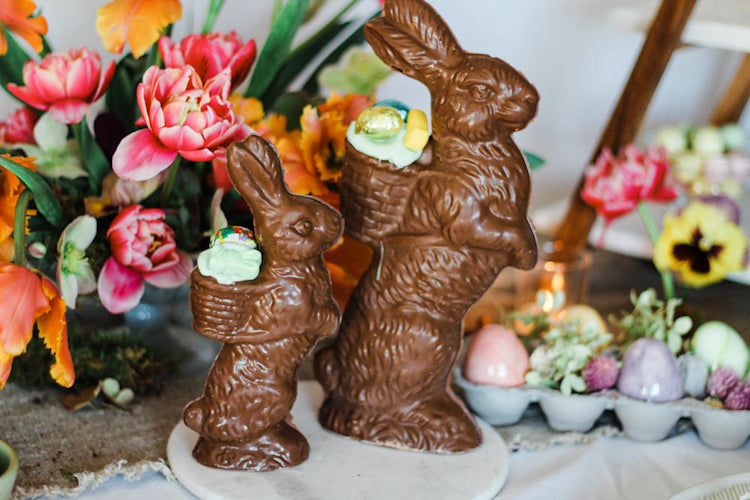 Chocolate Pack Rabbit