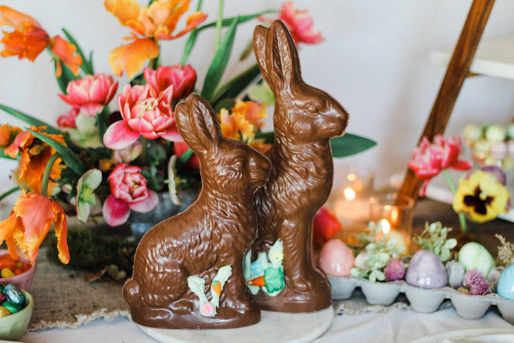 Chocolate Wild Rabbit