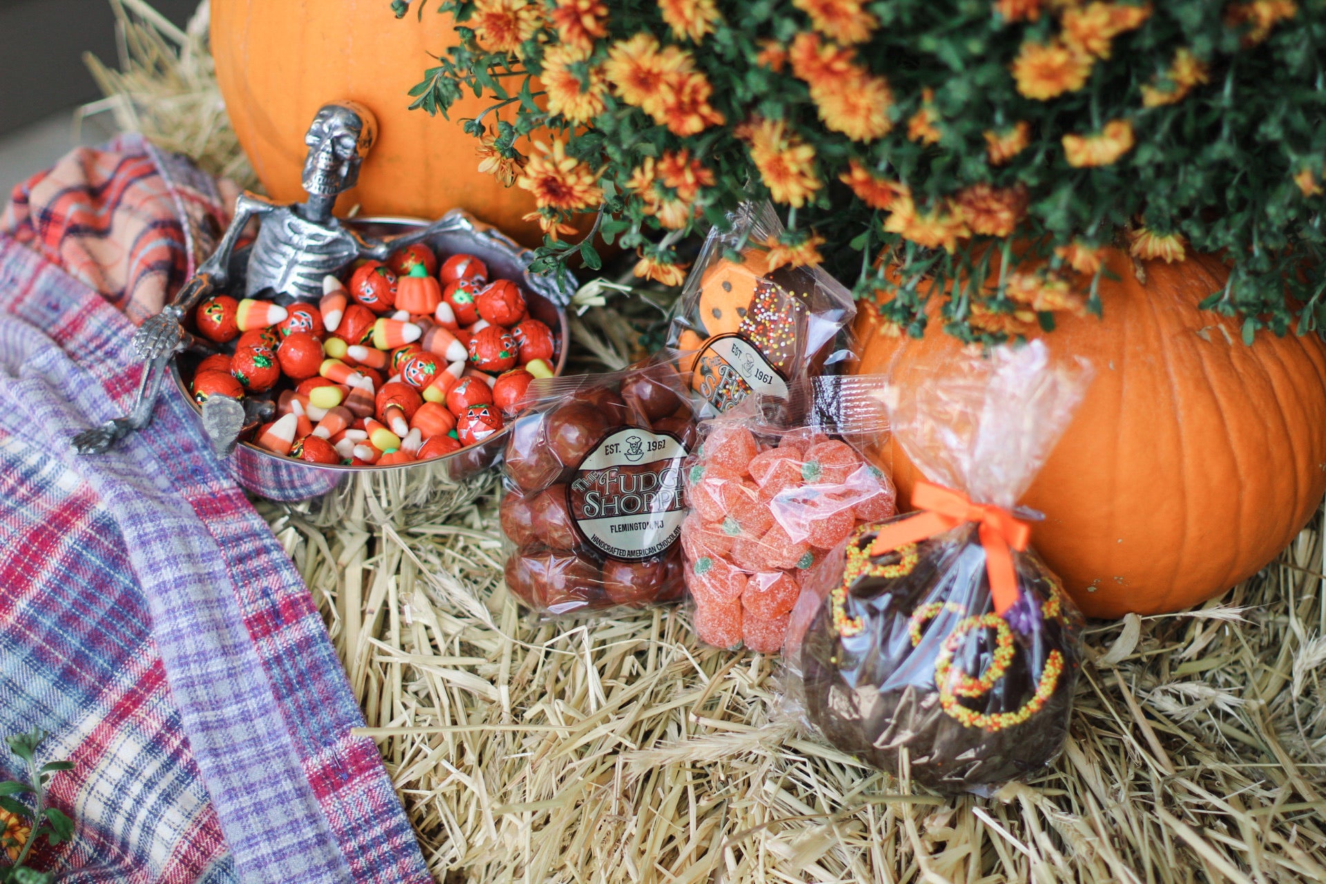 Fall Favorites